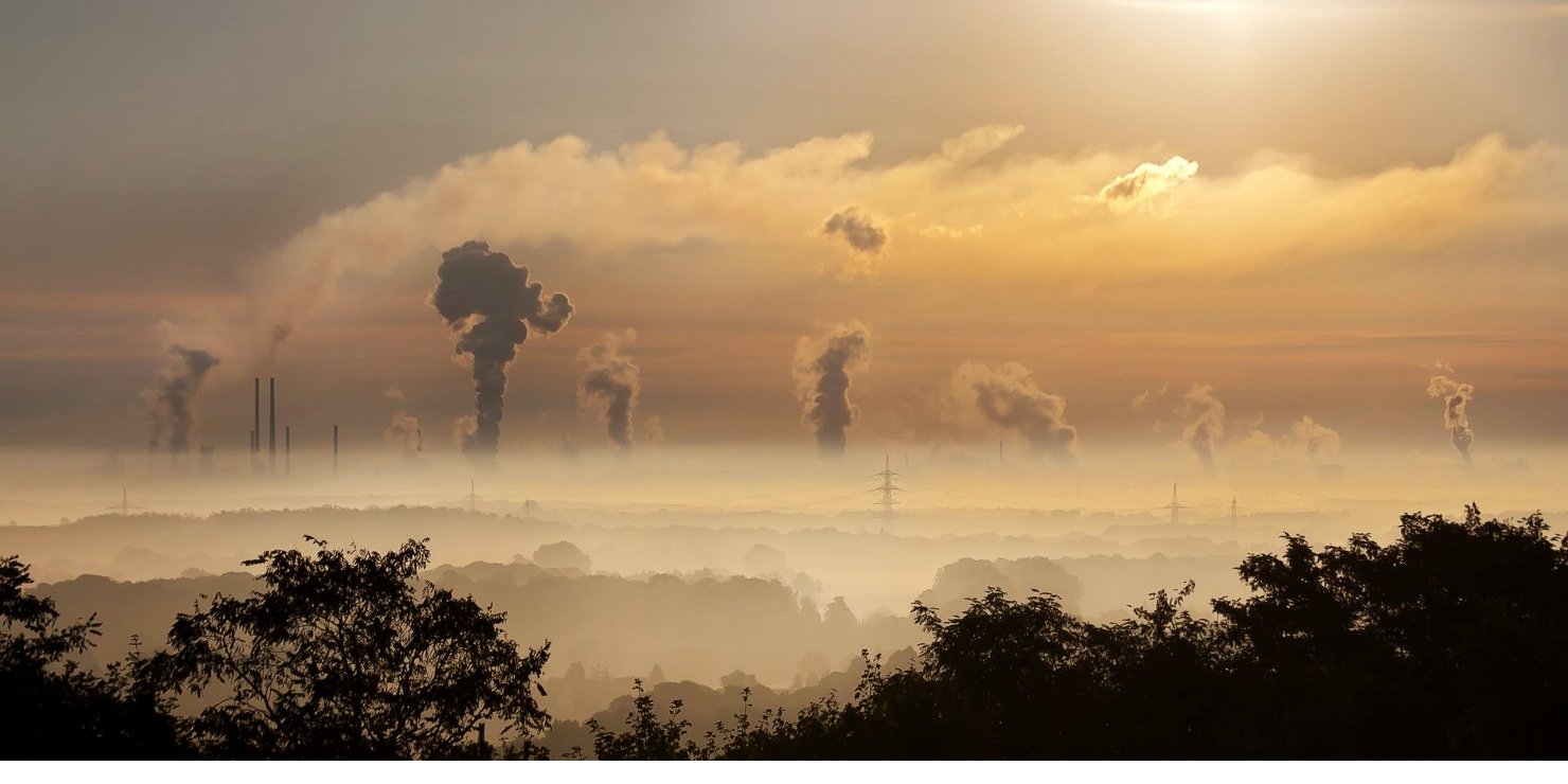 Everyone has a role to play in reducing carbon emissions